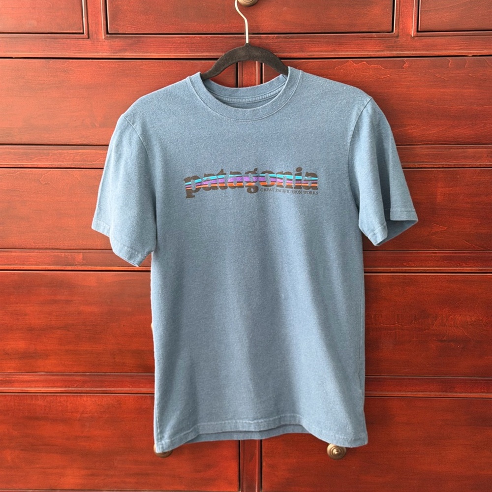 Patagonia Men's Short Sleeve Tee in Blue